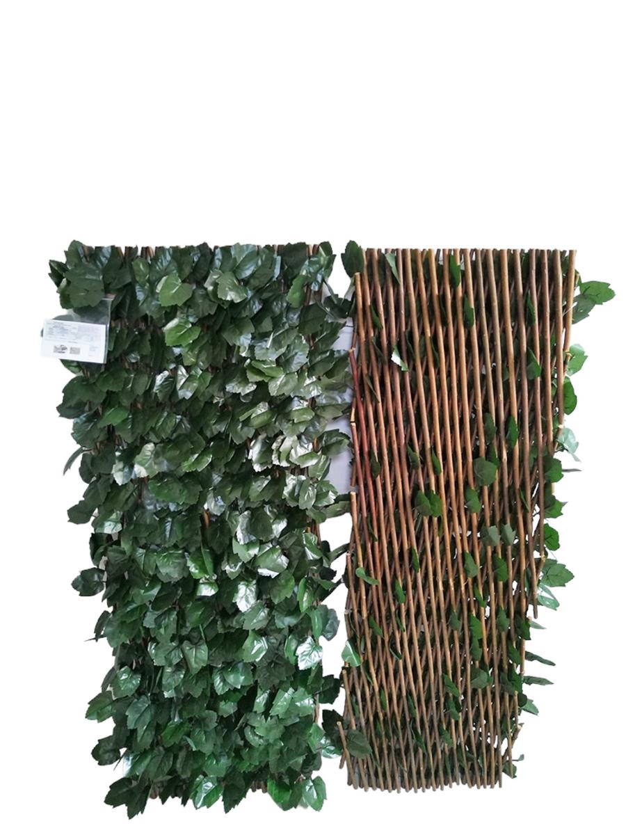 TREILLIS EXTENSIBLE LIERRE