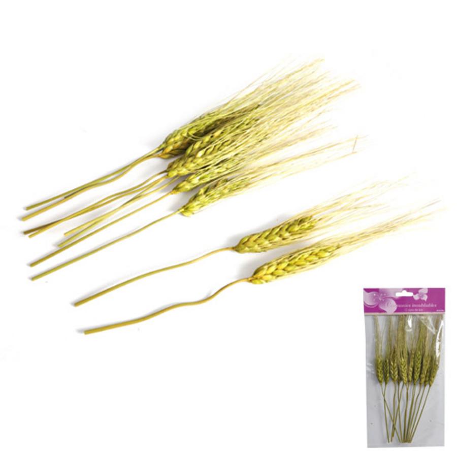 EPIS DE BLE X12 VERT