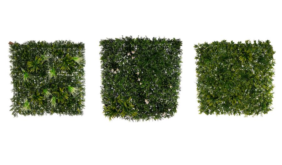 ASST/3 PLAQUE VEGETALE DENSE