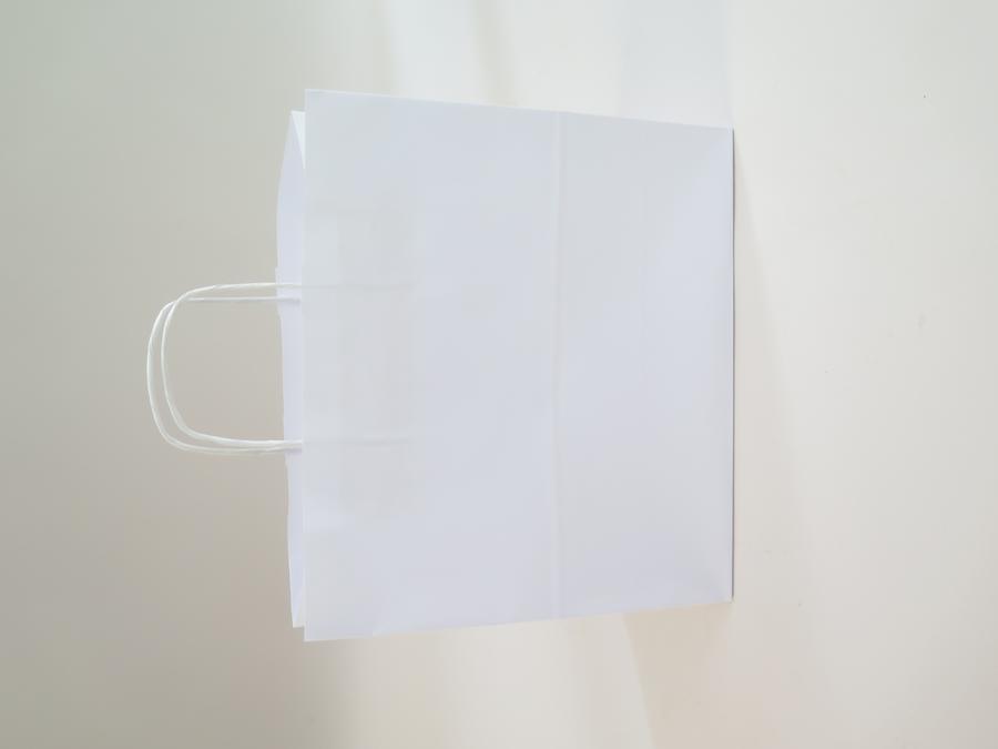 CARTON 100SACS PAPIER KRAFT