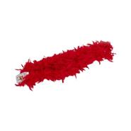 BOA PLUMES ROUGE 45G 155CM