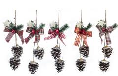 ASST5 POMME DE PIN NOEUD ECOSS