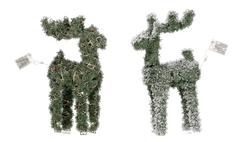 ASST2 CERF LED 29X11X46CM