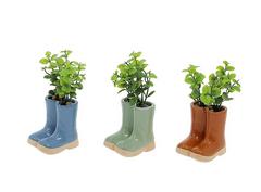 3 ASST SUCCULENTE - POT BOTTE