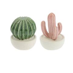 CACTUS EN PORCELAINE CACTUS EN PORCELAINE