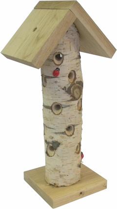 TOUR A COCCINELLES