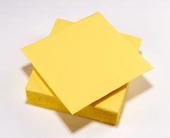 50 SERVIETTES PAPIER TEX TOUCH