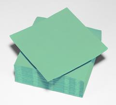 50 SERVIETTES PAPIER SAUGE