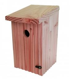 NICHOIR MESANGES PIN/EPICEA