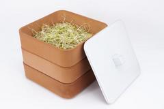 GERMOIR A ETAGES - TERRE CUITE