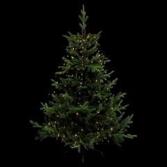 ROBE EXT L220 232LEDS ROBE EXT L220 232LEDS