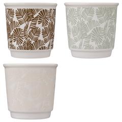 ASST TASSES RIVI 9CL