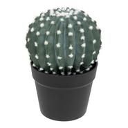 CACTUS ROND EN POT NOIR H.25CM CACTUS ROND EN POT NOIR H.25CM