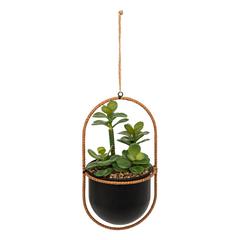 PLANTE SUSPENDUE TYLA 31CM PLANTE SUSPENDUE TYLA 31CM
