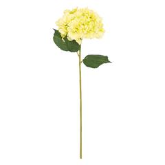 TIGE HORTENSIA 83CM VERT