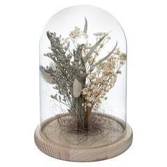 FLEURS SECHEES SOUS CLOCHE