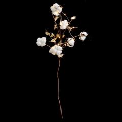 DECO INTERIEUR BRANCHE COTON