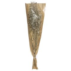GYPSOPHILE NATUREL SECHE
