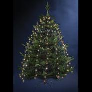 ROBE EXT L165 170LEDS