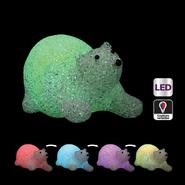 OURS LUMINEUX INTERIEUR