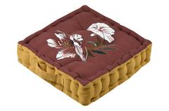 COUSSIN SOL CURIOSITY