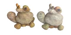ASST/2 TORTUE ESCARGOT SOLAIRE
