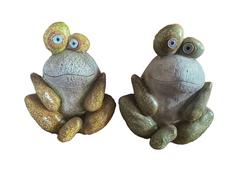 ASST DE 2 GRENOUILLES