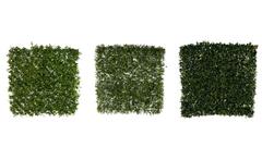 ASST/3 PLAQUE VEGETALE BASIC ASST/3 PLAQUE VEGETALE BASIC