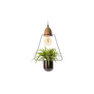SUSPENSION LAMPE VEGETALE
