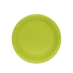 X10 ASSIETTES 23CM ANIS