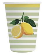 X10 GOB CARTON CITRON 25CL