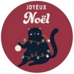 X10 ASSIETTES 23M CHAT