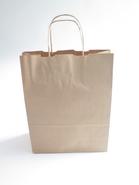 CARTON 100SACS PAPIER KRAFT